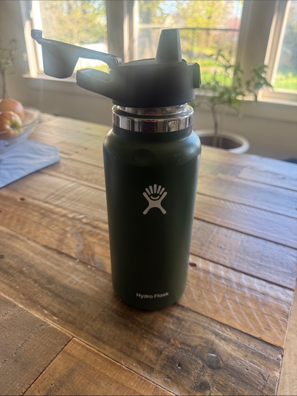 Hydro Flask Bottle with Straw Lid - Forest Green | 32 oz